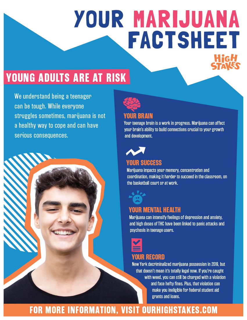 Teen Fact Sheet